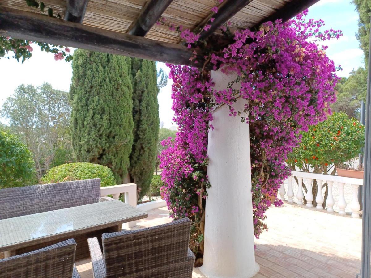 Quinta Do Paraiso - Casa Colynda カルヴォエイロ エクステリア 写真